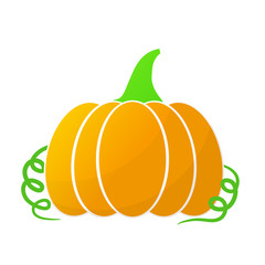 Pumpkin summer harvest, stock vector illustration