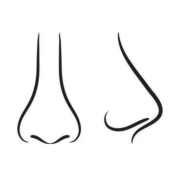 How To Draw A Nose | My Drawing Tutorials