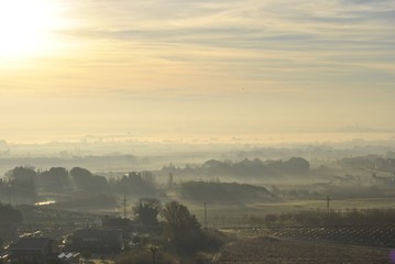PAisaje mediterráneo, con neblina matinal, frutales y pinos.