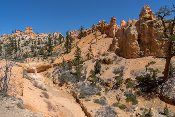 Mossy Cave Trail