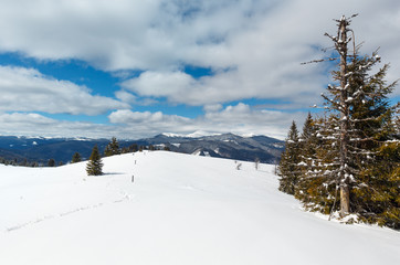 Winter snowy Carpathian mountains, Ukraine