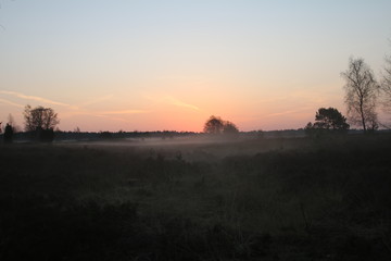 Obraz na płótnie Canvas Kurz vor dem Sonnenaufgang in der Heide