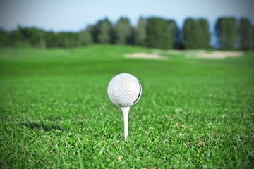 Golf ball on the tee, golf course of Adare in Ireland