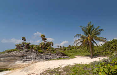 Idyllic beach of Caribbean Sea in Mexico