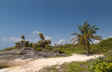 Fototapeta premium Idyllic beach of Caribbean Sea in Mexico
