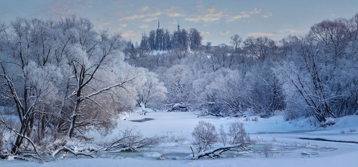 Russian winter in Borovsk