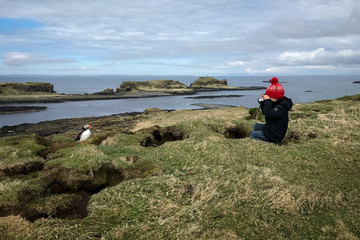 Fototapeta na wymiar Young boy taking a photo of a puffin on the Scottish Island of Lunga