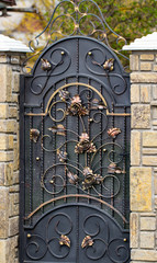 door decoration with ornate wrought-iron elements, close up