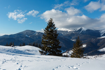 Fototapeta na wymiar Morning winter mountain ridge