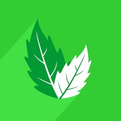 Leaf flat icon with long shadow. Vector graphic Illustration.