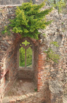 Schloss Auerbach