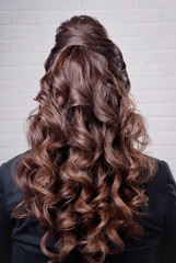 Hairstyle long curls on the head of the brunette rear view against a white brick wall close-up.Professional women's hairstyle.