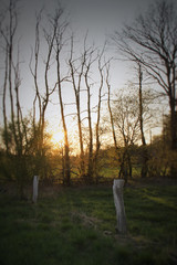 brandenburgisches Feld mit B&auml;umen bei Sonnenuntergang im Herbst