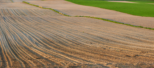 Naklejka premium Świeże zaorane i zasiane pole 