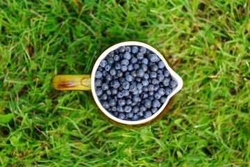 Ripe berry in a jug against a background of green grass