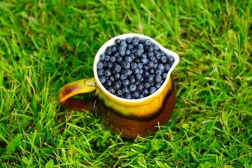 Ripe berry in a jug against a background of green grass