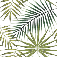 Seamless pattern of exotic palm trees. Green tropical leaves on white background.