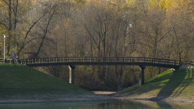 A bridge near leafless trees