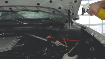 Professional engine cleaning, car washing, car showroom, service, shop.
