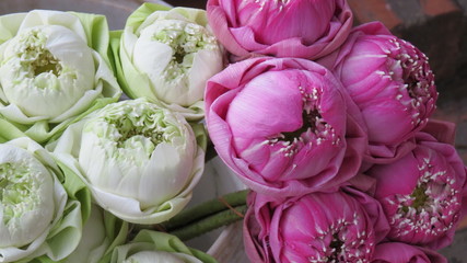 Lotusblüten Strauss weiss und rosa