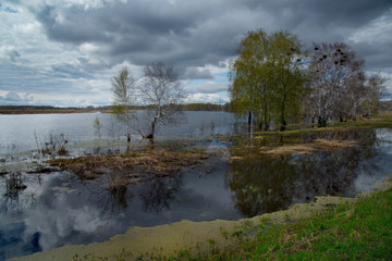 Russia. The flood on the Irtysh river