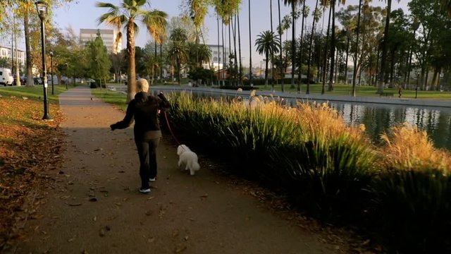 71 Year Old Woman Walking Her Dog In The Park.