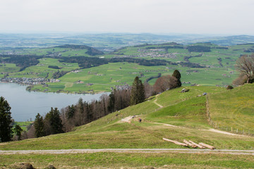 Landscape view of lake Lucerne from mountain Rigi in Switzerland. Hiking path, trail.