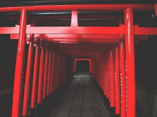 corridor of gates, Nagoya, Japan