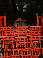Gates of Fushimi Inari Shrine, Kyoto, Japan