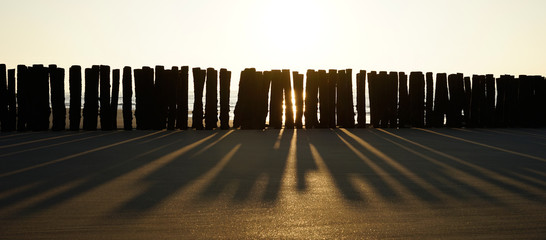 sea groynes with light and shadow
