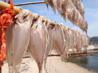 Traditional japnaese dried fish