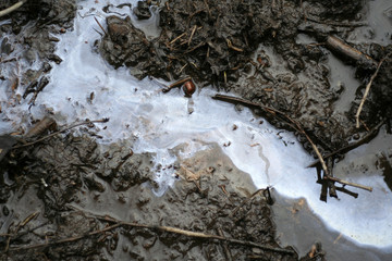 pollution