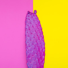 Fashion cactus Art.  Minimal design