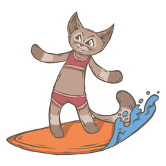 character animal surfer