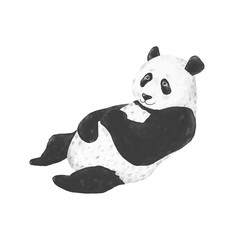 Panda clip art drawing animal illustration on white background cute animal