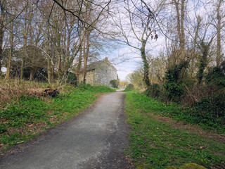 Spring forest park,Northern Ireland