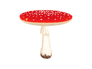 Detailed flat vector illustration of Amanita muscaria or Fly Agaric.