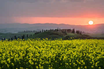 Obraz premium Tuscan spring landscape at sunset