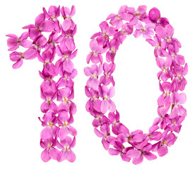 Arabic numeral 10, ten, from flowers of viola, isolated on white background