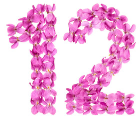 Fototapeta na wymiar Arabic numeral 12, twelve, from flowers of viola, isolated on white background