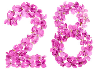 Arabic numeral 28, twenty eight, from flowers of viola, isolated on white background