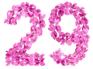 Arabic numeral 29, twenty nine, from flowers of viola, isolated on white background