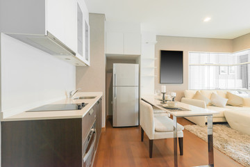 Modern living room interior