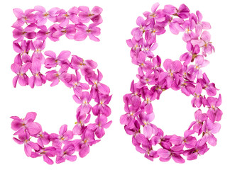 Arabic numeral 58, fifty eight, from flowers of viola, isolated on white background