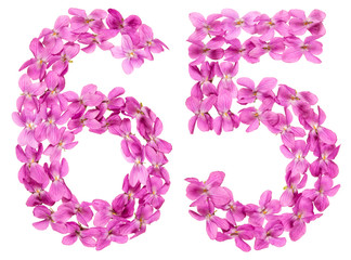 Arabic numeral 65, sixty five, from flowers of viola, isolated on white background