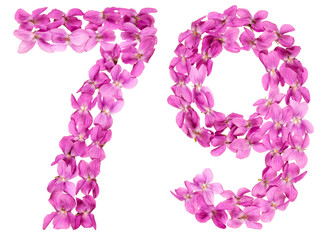 Arabic numeral 79, seventy nine, from flowers of viola, isolated on white background