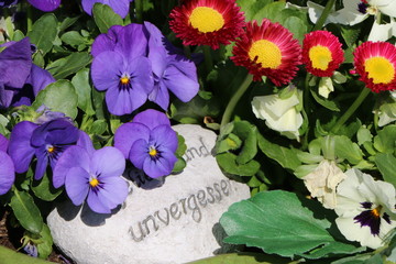 At the Cemetery, "memorable", frühlingshafte Grabbepflanzung