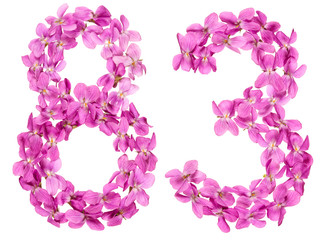 Arabic numeral 83, eighty three, from flowers of viola, isolated on white background