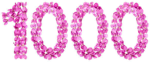 Arabic numeral 1000, one thousand, from flowers of viola, isolated on white background