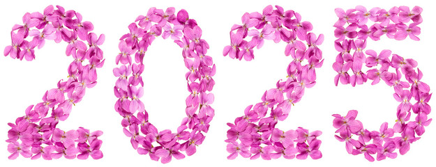 Numeral 2025 from flowers of viola, isolated on white background